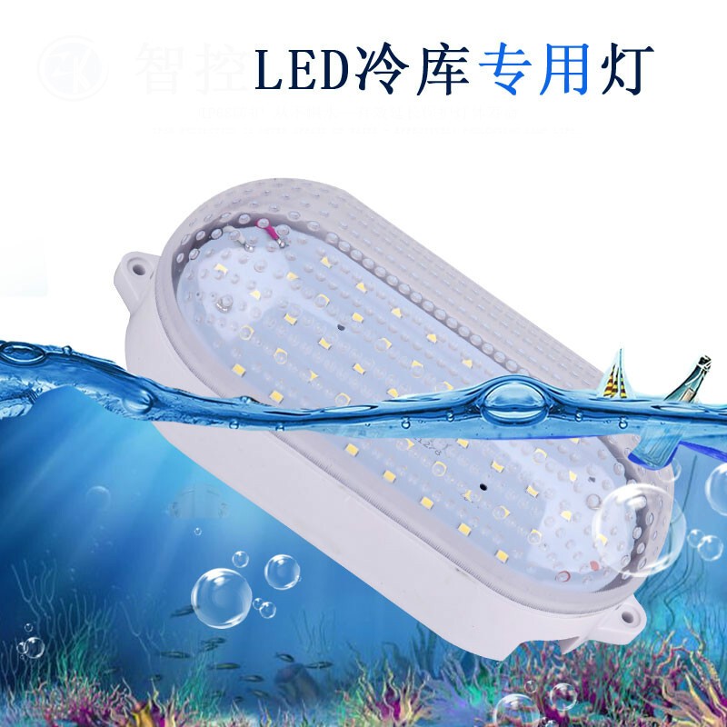 LED冷库专用灯10W防水防冻灯罩耐低温浴室卫生间 零下-60度 10W
