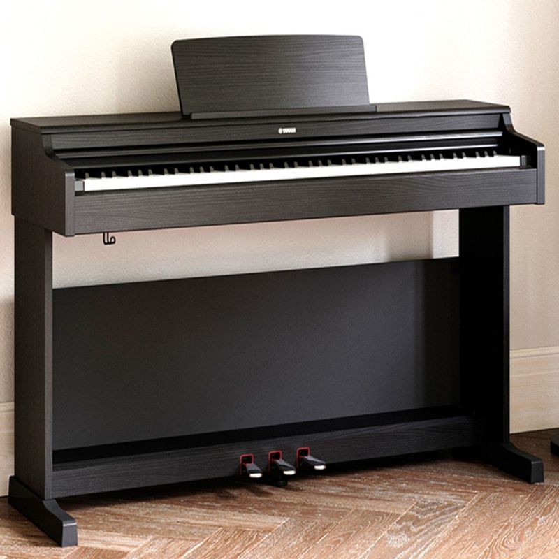 雅马哈  YDP145B+原装琴凳+官方标配  电钢琴 YDP145 立式88键重锤家用专业演奏考级电子钢琴YDP165  黑色 一台